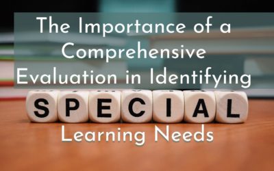 The Importance of a Comprehensive Evaluation in Identifying Special Learning Needs